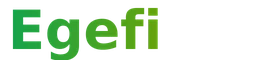Logo EGEFI