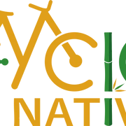 Logo CYCLONATIVE