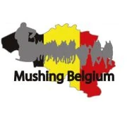 Logo Mushing Belgium