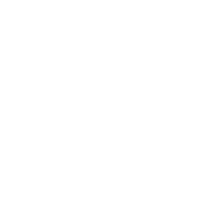 Logo STEVENY