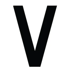 Logo VELVET STORE