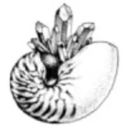 Logo NAUTILUS - GENT