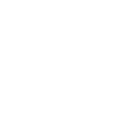 Logo RETRO BIKETOURS BRUGES