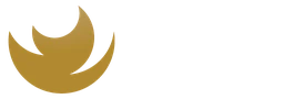 Logo BAX-VLOEMANS