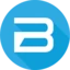Logo BluMerch