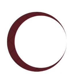 Logo A LA LUNA