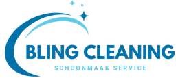 Logo Bling Cleaning