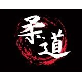 Logo Judoclub Edo