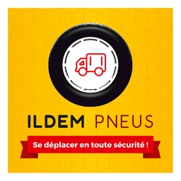 Logo Ildem