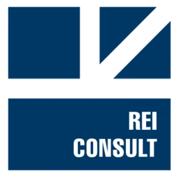 Logo REI CONSULT