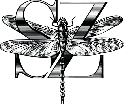 Logo Maatschap Stellenzicht