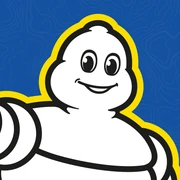 Logo VIAMICHELIN SAS