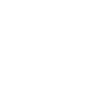 Logo NO NONSENSE