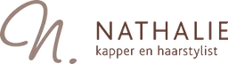 Logo NANO