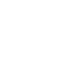 Logo LEVOMATICS
