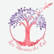 Logo Centre thérapeutique "Les Racines du Ciel"