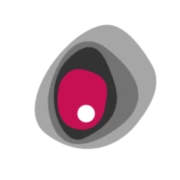 Logo DE PUNT