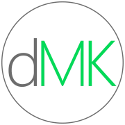 Logo STEINN