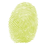Logo INDELEBILIS
