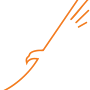 Logo ZEAGLE