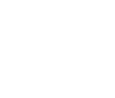 Logo Datasteps
