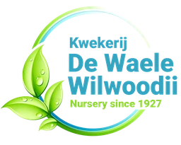 Logo WilwoodII