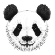 Logo NOAH
