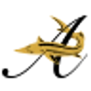 Logo AO SOLUTIONS