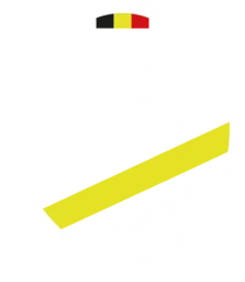 Logo Belgian Elite Football Academy