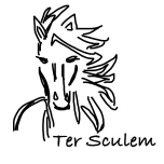 Logo TER SCULEM