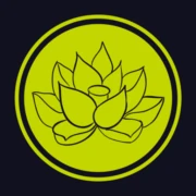Logo LICOS