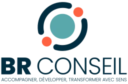 Logo BR Conseil