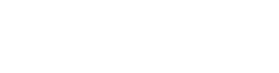 Logo Option
