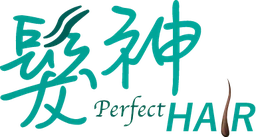 Logo PERFECT HAIR