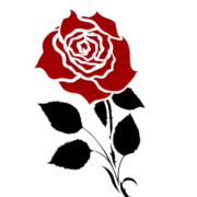 Logo Driessen Reisen