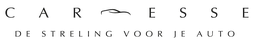 Logo CAR-ESSE