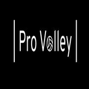 Logo Pro Volley