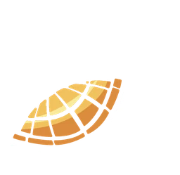 Logo Chillin Turtles