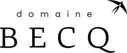 Logo RVO MANAGEMENT