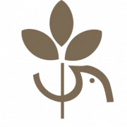 Logo Université de Paix