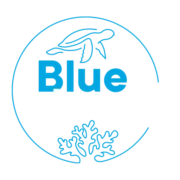 Logo Blue Tomorrow