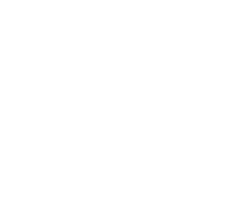 Logo United Forces