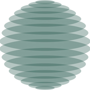 Logo The Circular Value Institute