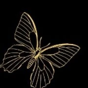 Logo La maison des Papillons