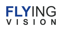 Logo FLYING VISION