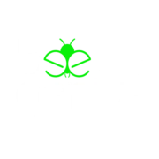 Logo Beetle Genius