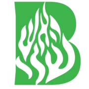 Logo BELGIUM ENERGY