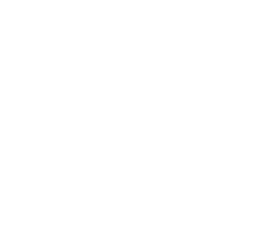 Logo CHICK & CROWD