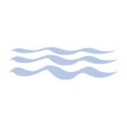 Logo V.T.S. BORINGEN