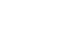 Logo VIGOR